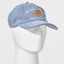 Men's Canyon Baseball Hat - Goodfellow & Co™ Blue